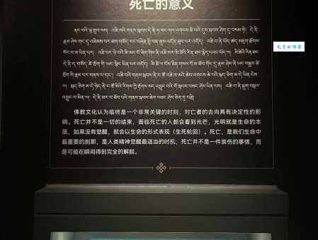 噶厦制度探究旧西藏的政治管理体系