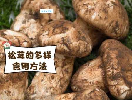 松茸和蘑菇的区别 口蘑科真菌的特点与鉴别方法