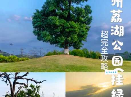 增城湖心岛游玩攻略 带你探索广州最美湖景