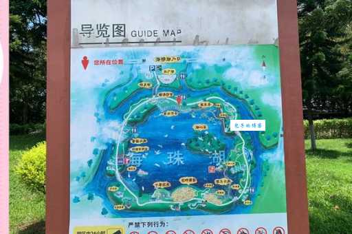 从市区到海珠湖怎么去省钱省时路线推荐