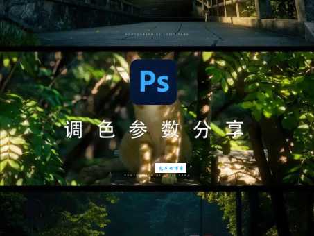 免费ps大片调色教程 一学就会的后期调色方法