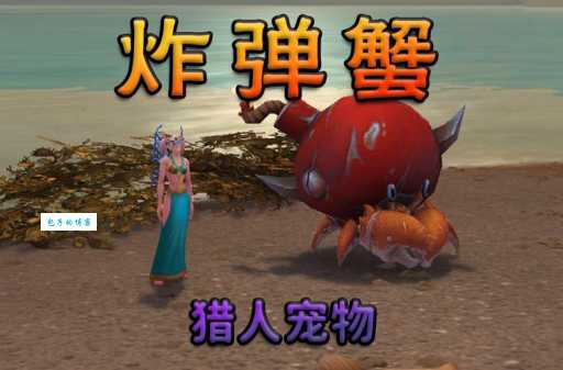 帝国ol猎人宠物选择 哪些宝宝最适合猎人带