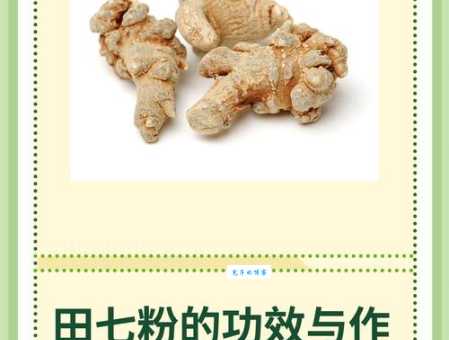 三七粉的主要功效和作用有哪些 吃三七粉的好处你知道吗