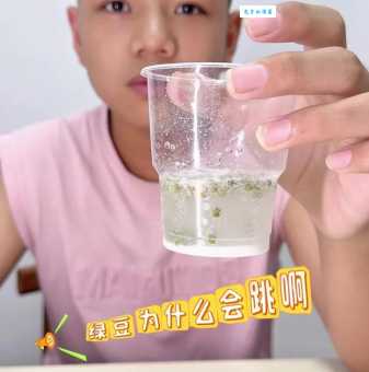 蹦蹦跳跳的实验体揭秘科学实验中的有趣现象