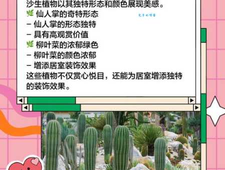 沙柳需要多少能量种植前必看指南