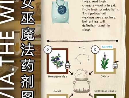 仙灵女巫符文搭配攻略 新手必看详细解析