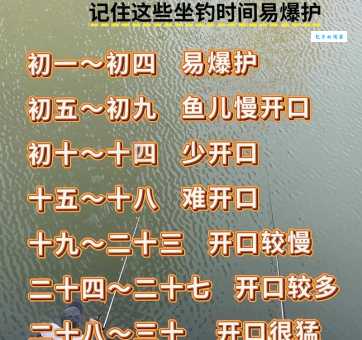 外域钓鱼日常时间安排 如何高效完成每日任务