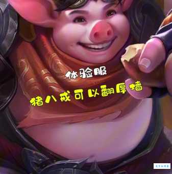 神仙道猪八戒实战评测 这个伙伴值得练吗