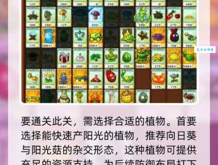 植物大战僵尸无尽版秘籍大全 高手都在用的攻略