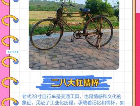 自行车是谁发明的?看看这些发明故事你知道吗