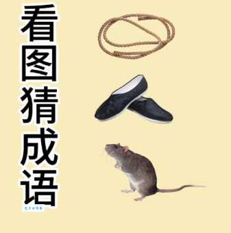 疯狂猜成语一个干字答案揭秘原来这么简单易懂