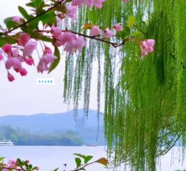 春风和气的意思及用法,学会这样用更地道