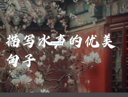 水波一起一伏的动的词语怎么说?学会这几种表达方式!