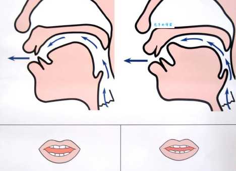 蜒怎么读才标准？老师教你正确发音技巧