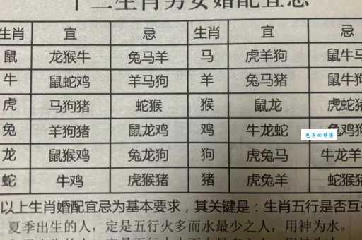 有头有脸是什么生肖?生肖专家揭秘答案