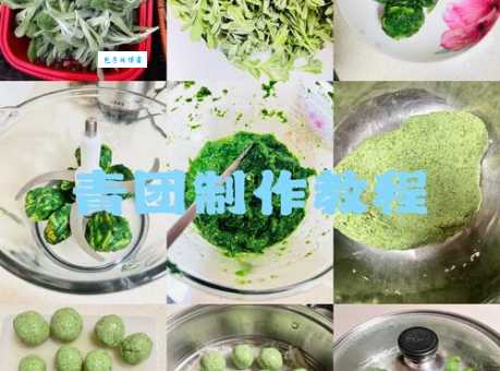 青团是用什么做的？看看老师傅如何挑选优质材料！