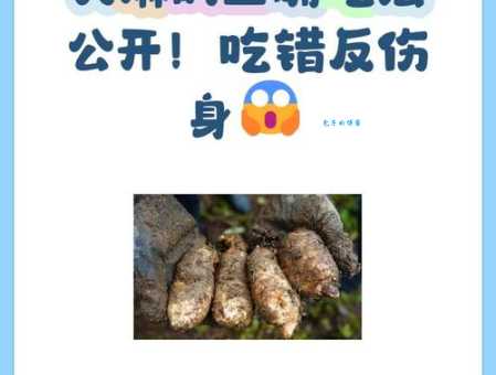 天麻有6种人不能吃，这几种人群千万要注意！