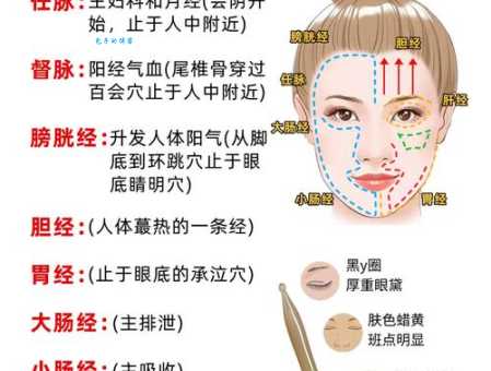 脸颊的意思包含哪些部位？详细图解一看就明白！