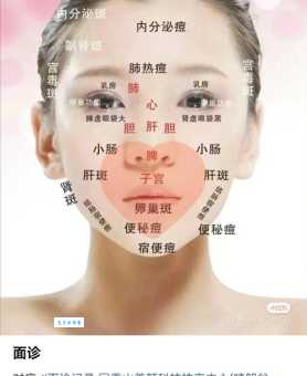 脸颊的意思包含哪些部位？详细图解一看就明白！