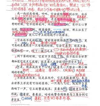 母鸡的拼音学习指南？家长这样教孩子更有效