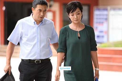 后海不是海剧情介绍 张嘉译主演的这部剧好看吗