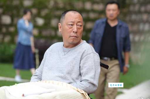 后海不是海剧情介绍 张嘉译主演的这部剧好看吗