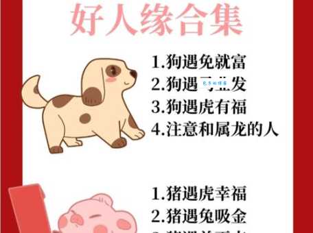 江枫渔火对应哪个生肖?这几个生肖最有可能