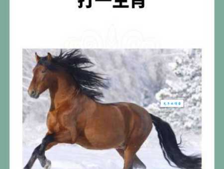 软弱无力是什么生肖？专家解析最柔弱的生肖