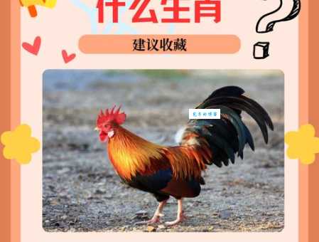 穷苗苦根打一准确生肖