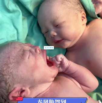 密春雷双胞胎到底多大了？权威解读年龄之谜