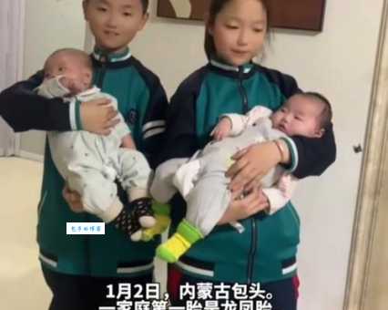 密春雷双胞胎到底多大了？权威解读年龄之谜