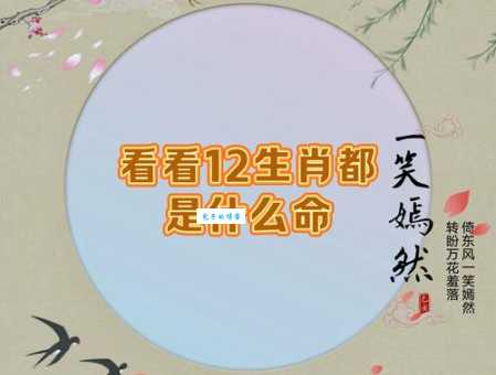 探渊索珠是什么生肖