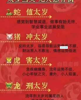 穷苗苦根代表什么生肖?老师傅揭秘背后真相