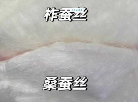 柞蚕丝和桑蚕丝区别