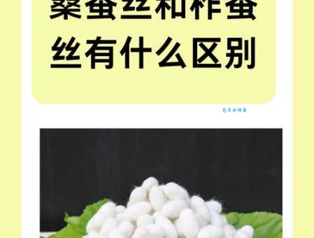 柞蚕丝和桑蚕丝区别