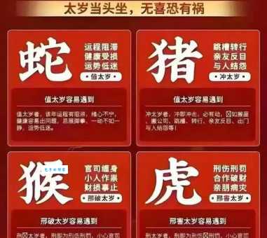 千里奔波一日回打一正确生肖,5个技巧轻松破解谜题!