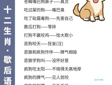 羡君终解古人心是哪个生肖 一分钟告诉你正确答案