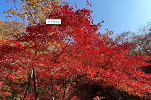 本溪关门山一日游带什么物品这份清单请收好