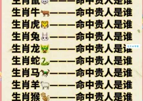 死气沉沉是什么生肖?看看你是不是属于这类生肖