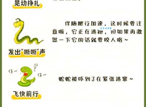 蝰字怎么读?一篇文章带你彻底搞清楚!