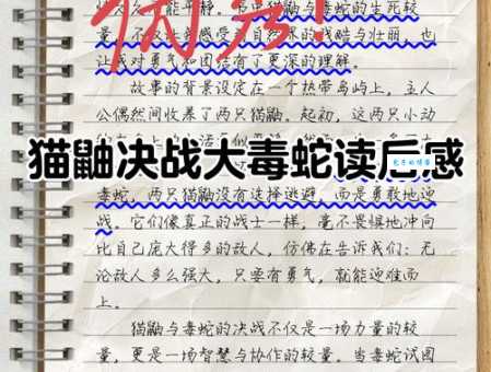 蝰字怎么读?一篇文章带你彻底搞清楚!