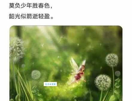 韶光似箭的意思是什么？一文带你搞明白！