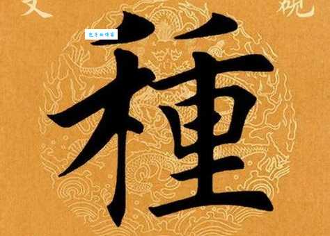 种的笔顺容易错？三个方法让你写对它！