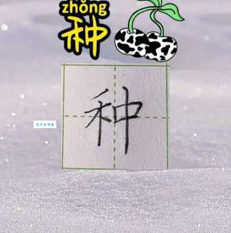 种的笔顺容易错？三个方法让你写对它！