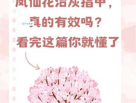 百年之好的解释你清楚吗？看完这篇就懂了！