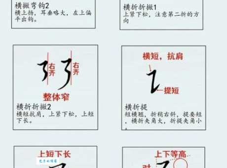 泛的笔顺容易写错?这几个要点要牢记!