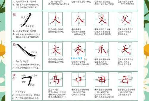 房的笔顺有什么规则？专家为你详细解读！