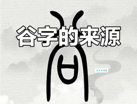 谷的笔顺正确写法是什么?看完这个就懂了!