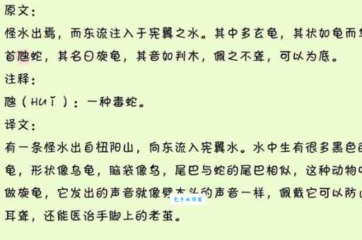 老桑烹龟的意思是什么?看完这篇你就懂了