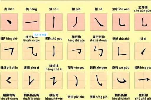 舍的笔顺怎么学？专家分享实用技巧！